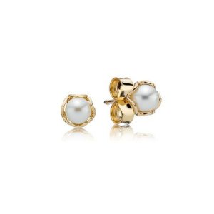 Brincos PANDORA de ouro 14k com pérola - 250319P - Brincos PANDORA Brincos PANDORA de ouro 14k com pérola - 250319P - Brincos PANDORA