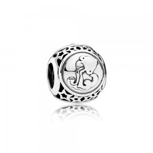 Charm berloques PANDORA Constelação Aquário - 791934