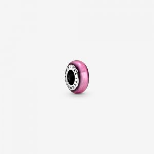 Meu Charm Rosa Separador Pandora - 798969C03