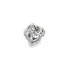 Charm Corações Entrelaçados Brilhantes - 799270C01