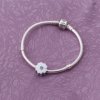 Clipe PANDORA Primrose - Flor da Amizade - 791822EN12