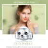 Charm Cachorro Vip Fofo estilo Pandora - SCC837
