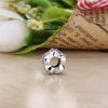 Separador PANDORA Brilho Real - 796270CZ