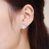 Brincos Petit Luz nobre estilo Pandora - SCE358