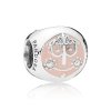 Charm berloques Pandora de prata é um mundo pequeno