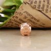 Charm berloques PANDORA Rose Coelho - 787061EN160