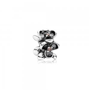 Charm PANDORA de Prata Amor Perfeito com Zircônia Cúbica Rosa - 790861TCZ