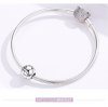 Charm Leo life Pandora - SCC1218-5