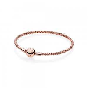 Pulseira PANDORA Crie & Combine ROSETM de Malha - Fecho Redondo - 586543