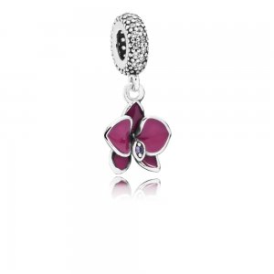 Charm PANDORA Brilhante Flor Orquidea - 791554EN69 Charm PANDORA Brilhante Flor Orquidea - 791554EN69