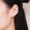 Brincos Petit Folhas Brilhantes estilo Pandora - SCE266