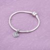Sparkling Heart - 791023CZ - Contas