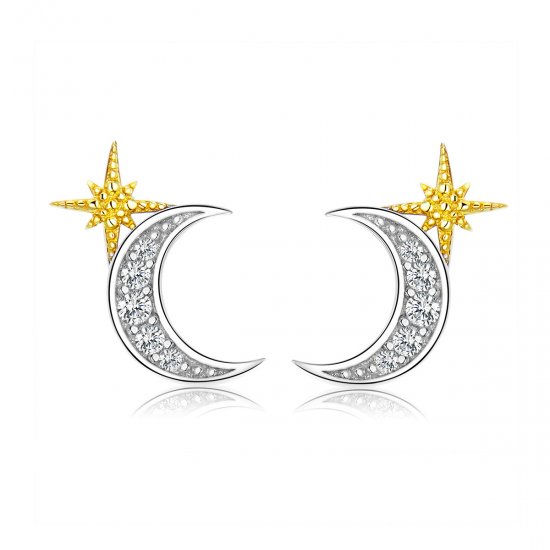 Brincos Petit Luz lunar estilo Pandora - SCE729  Clique na imagem para fechar