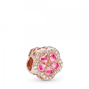 Charm Flor de Flor de Pêssego Cintilante Pandora Rosa - 788079CZ Charm Flor de Flor de Pêssego Cintilante Pandora Rosa - 788079CZ