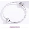 Charm Áries life Pandora - SCC1218-1