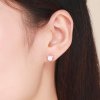 Brincos Petit Estrela miau estilo Pandora Rose - SCE538
