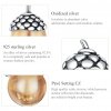 Conjunto de joias Dois tons Bolotas Brilhantes estilo Pandora - SET019