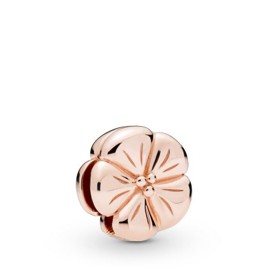 Pulseira Flor Clássica Pandora - 787897  Clique na imagem para fechar