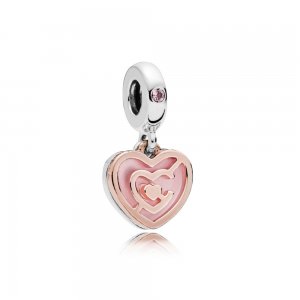 Conta Pendente PANDORA Caminho do Amor - 787801NBP