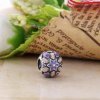 Charm berloques PANDORA de Vitral - 791374ENMX