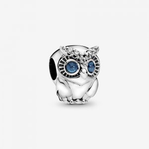 Charm Coruja Misteriosa - 798397NBCB