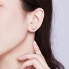 Brincos Petit Voar para o amor estilo Pandora - SCE632