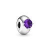 Charm Clipe Solitário Roxo - 799204C02