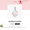 Charm Pendente Dois tons Você é apenas o meu tipo estilo Pandora - BSC147
