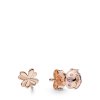 Brincos Petit Trevo de quatro folhas e joaninha Pandora Rose - 287960NPO Brincos Petit Trevo de quatro folhas e joaninha Pandora Rose - 287960NPO