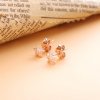 Brincos Petit Estrela-do-mar Pandora Rose - 288956C00
