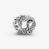 Charm Coração Aberto E Rosas - 799281C01
