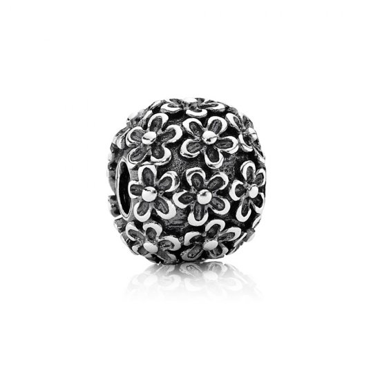 Posies XL silver charm PANDORA - 790868  Clique na imagem para fechar