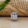 Charm berloques PANDORA Beleza Glacial - 796360NSB