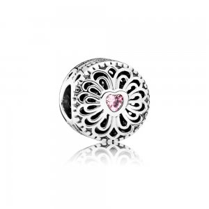 Charm berloques PANDORA Amizade Eterna - 791955PCZ Charm berloques PANDORA Amizade Eterna - 791955PCZ