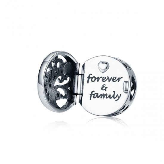 Charm Para sempre e família estilo Pandora - SCC1259  Clique na imagem para fechar