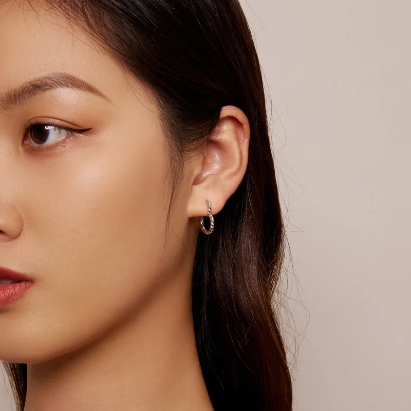 (imagem para) Brincos Argola Estilo Pandora em Formato de Coração - SCE1606 - Visualizar 8