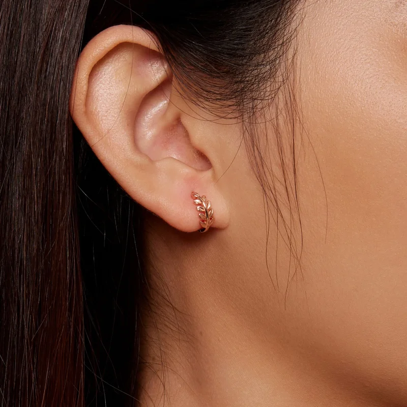 (imagem para) Brincos Argola Folhas Estilo Pandora - BSE500-C - Visualizar 7