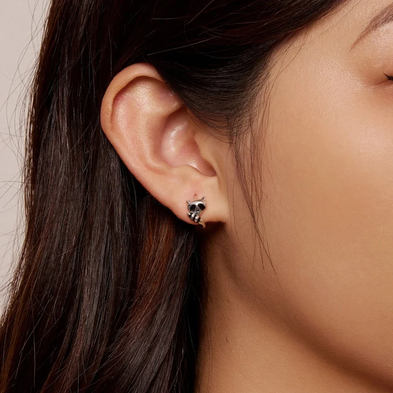 (imagem para) Brincos Argola Guaxinim Estilo Pandora - SCE1603 - Visualizar 6