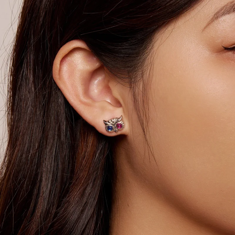 (imagem para) Brincos de Argola Estilo Pandora Coruja - SCE1602 - Visualizar 5