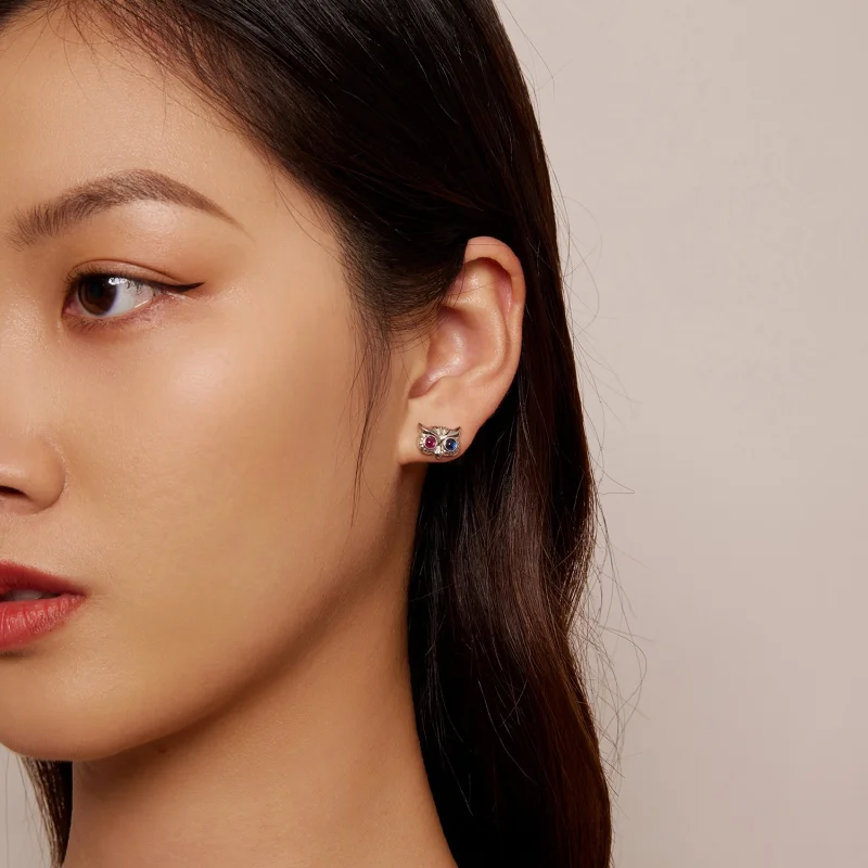 (imagem para) Brincos de Argola Estilo Pandora Coruja - SCE1602 - Visualizar 6