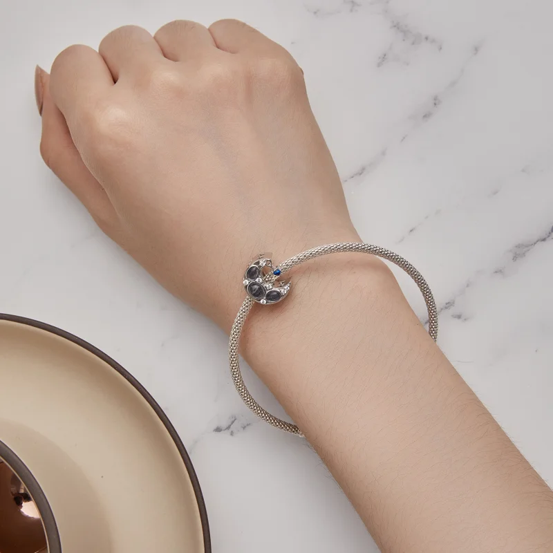 (imagem para) Charm da Lua Estilo Pandora - BSC872 - Visualizar 6