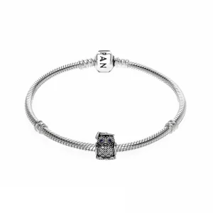 (imagem para) Pulseira Pandora de prata Graduação