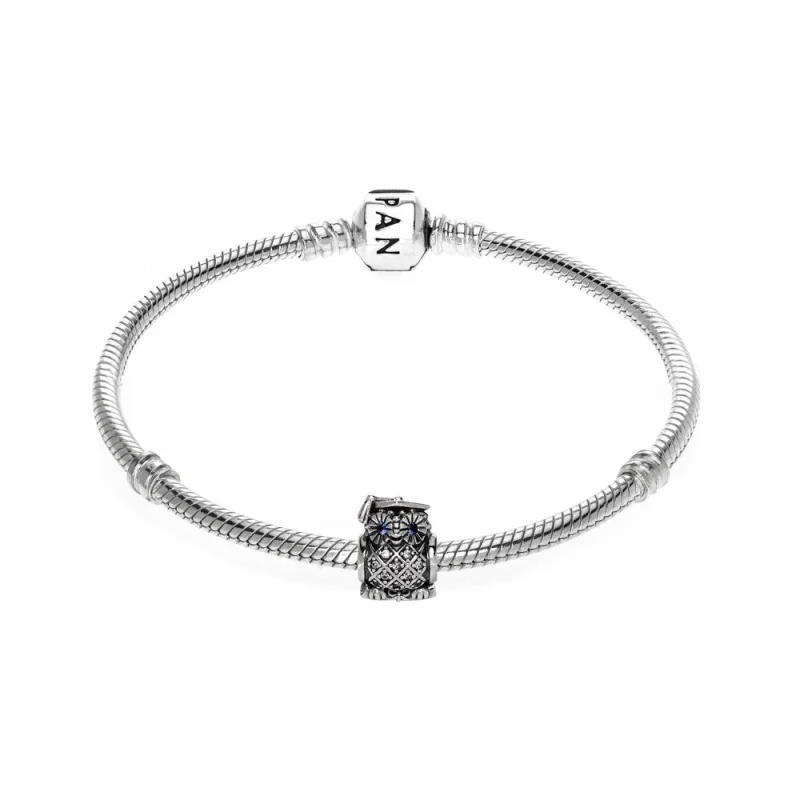 (imagem para) Pulseira Pandora de prata Graduação