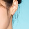 Brincos Petit Flamingos estilo Pandora Rose - BSE120