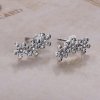 Brincos PANDORA Jardim de Bem-me-Quer - 290744CZ