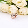 Charm Princesa leão cintilante Pandora Rosa - 788024CZM