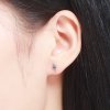 Brincos Petit Raio life Pandora - SCE156