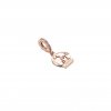 Charm Pendente Disney, Parceiros de Parques Pandora Rose - 789269C01