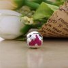 Charm Pandora de prata Castelo da Bela Adormecida
