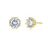 Brincos Petit Luz life Pandora - SCE499-B